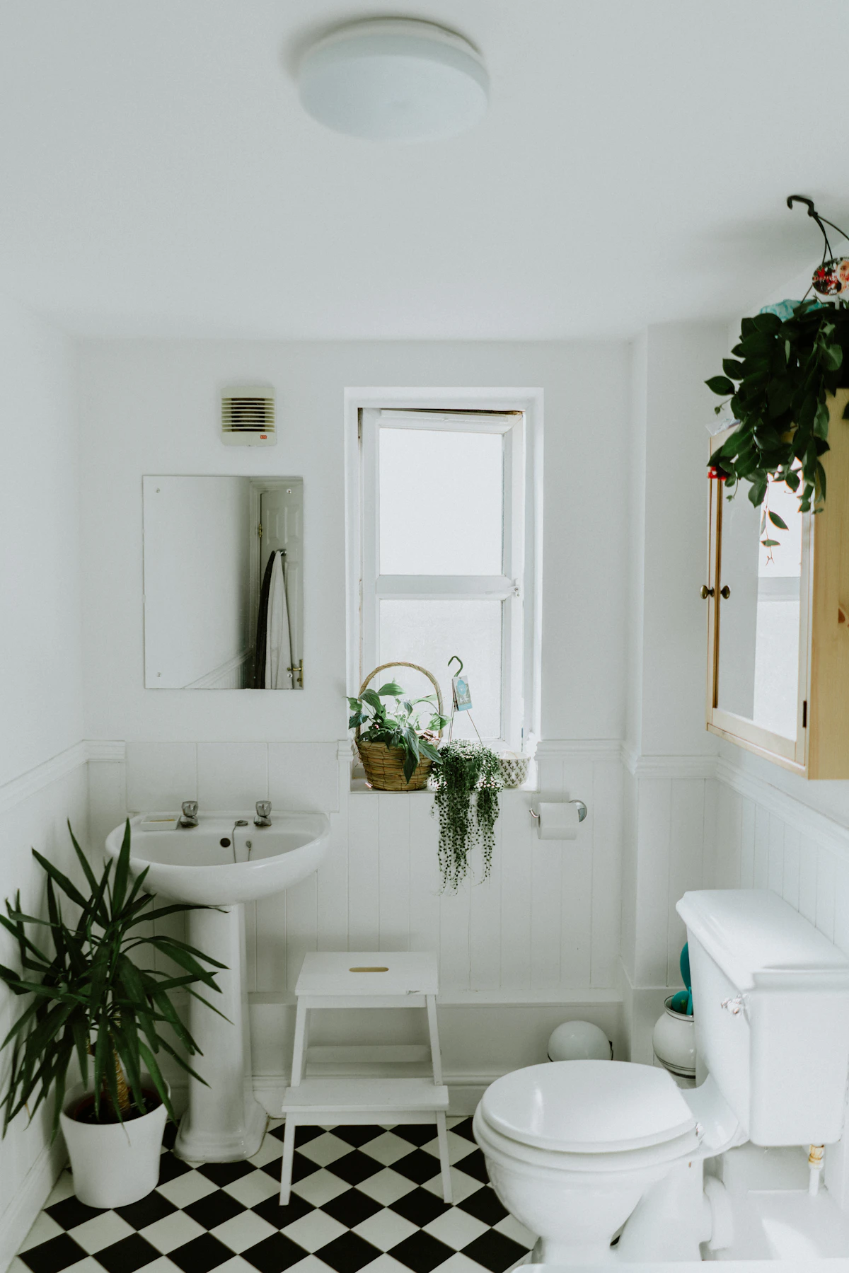 A bright, clean white bathroom with a toilet, sink, plants, and natural light from a window