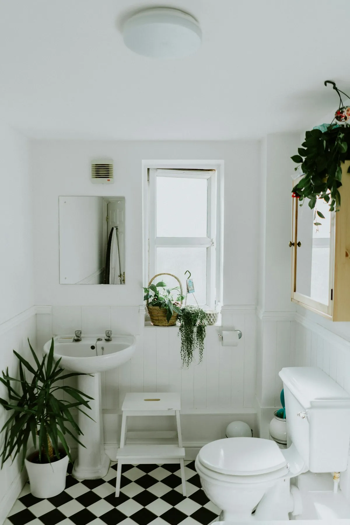 A bright, clean small apartment bathroom with white fixtures, plants, and checkered tile floor
